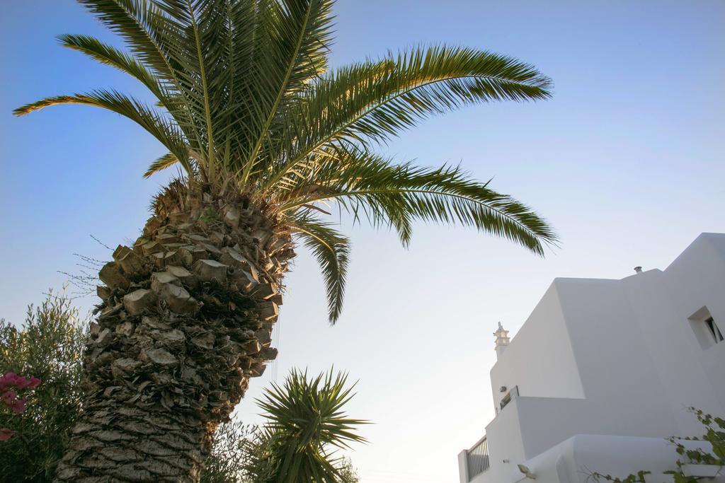 Anna-Maria Mykonos Hotel Glastros  Exterior photo